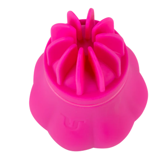 Vibrador 5 Cabezales Caress Adrien Lastic