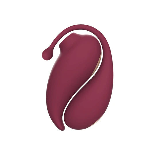 Succionador y Huevo Vibrador Inspiration Adrien Lastic